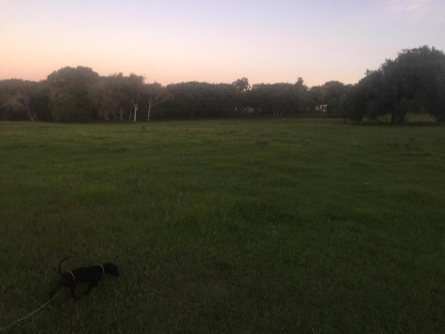 Sitio Turismo Rural na Baia Formosa em Buzios - Foto 7