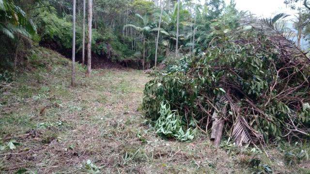 Vendo terreno no gasparinho R$ 42.000,00 - Foto 7