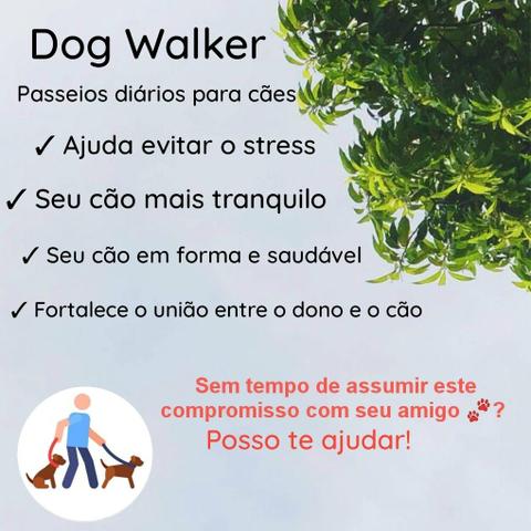 Dog Walker/ Passeador de cães ?