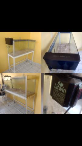Aquário completo