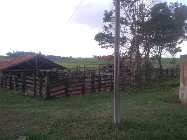 Vendo fazenda 250 alqueires próxima a presidente prudente - Foto 8