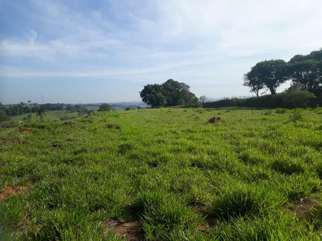 Área 20.000 m2 ao lado da walita em frente à rodovia BR 491 - Foto 6