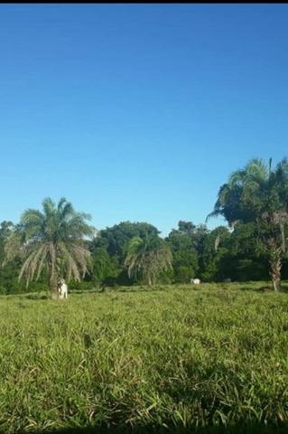 109 Alq. Entrada 50% Da Condições Planta 75 Dupla Aptidão Da Pivô Estruturada Piranhas GO - Foto 10