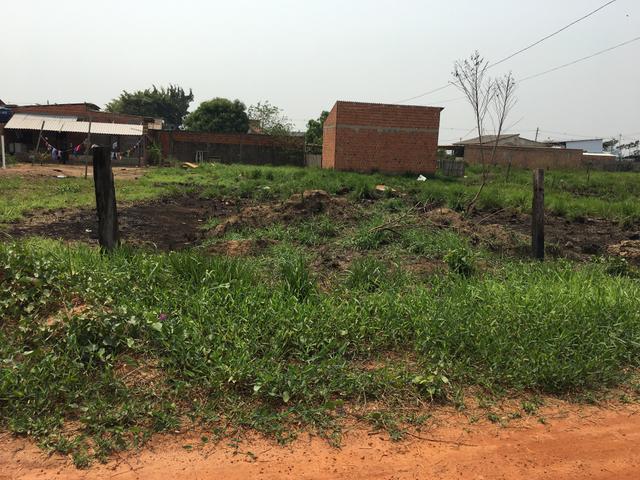 Terreno