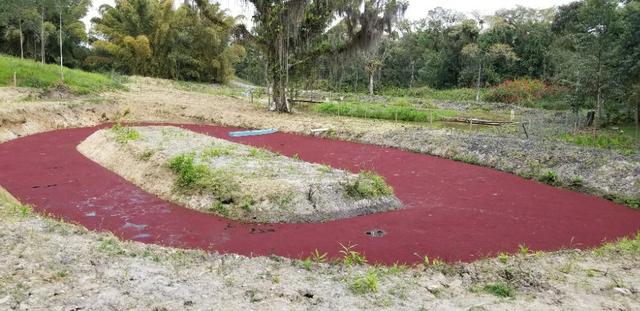 Terreno - Sitio - Chácara - Foto 4