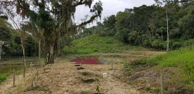 Terreno - Sitio - Chácara - Foto 3