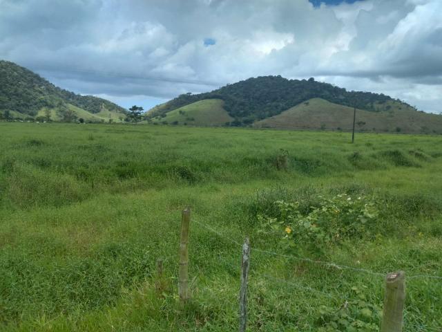 Ótima Fazenda em Casimiro de Abreu-RJ - Foto 4