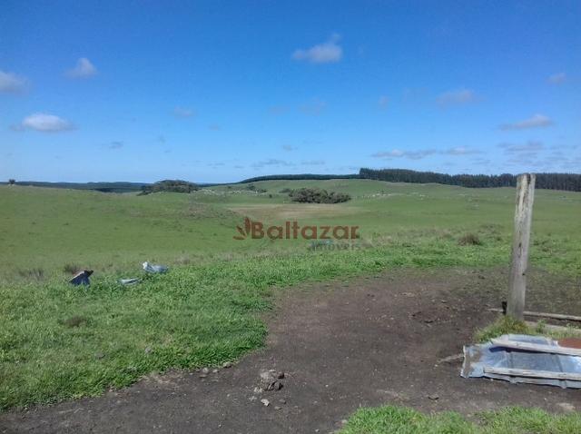 Vendo este excelente e magnífico campo, um verdadeiro paraíso, com a área de 150 hectares - Foto 4