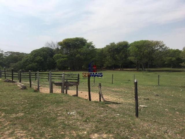 Excelente Fazenda a venda em Corumbá-MS - Foto 7