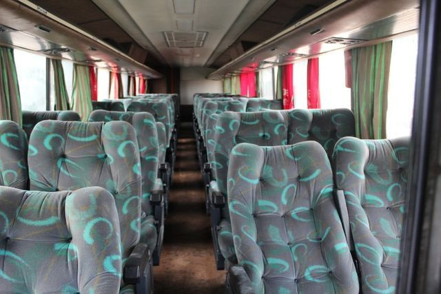 Onibus dipromata nielson - Foto 10