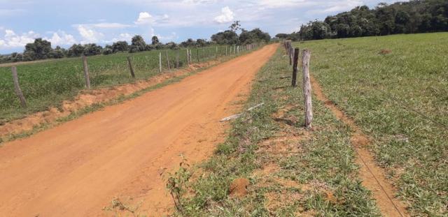 Vendo Chácara com 4 alqueires em Piracanjuba aceito proposta avista - Foto 8