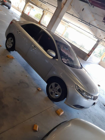 cerato - Foto 3