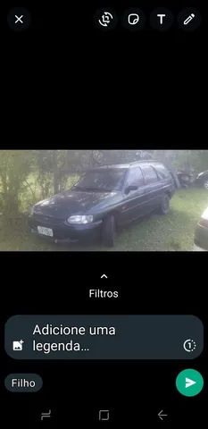 Scort zetec