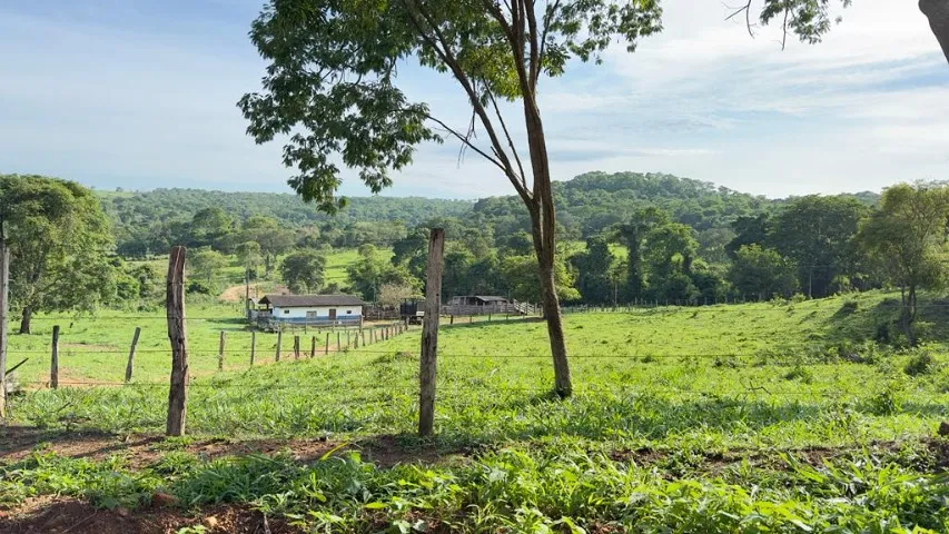 11 alqueires no município de Goiânia 