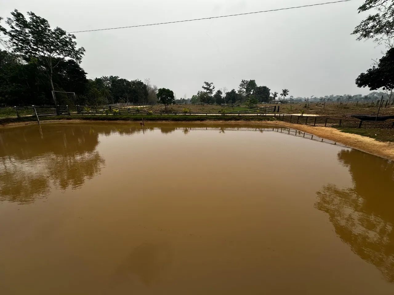  Vendo uma colônia de 15 hectares, no ramal da alcobras no km15  - Foto 9