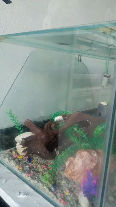 AQUÁRIO  - Foto 2