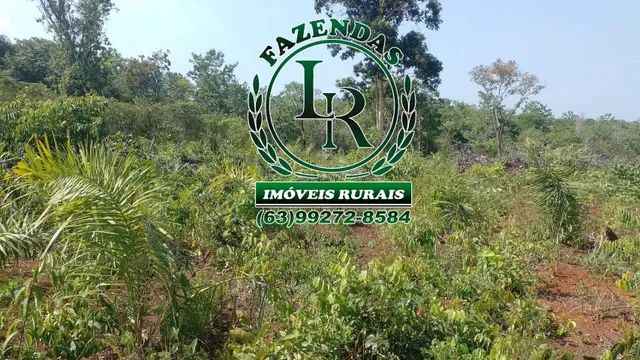 Fazenda 138 Alqueires Próximo a Palmas - Foto 4