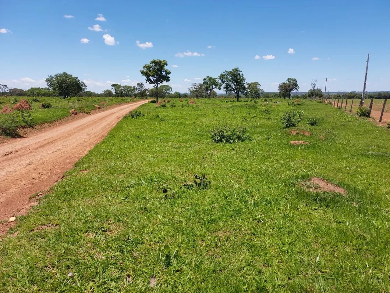 Fazenda Bela vista