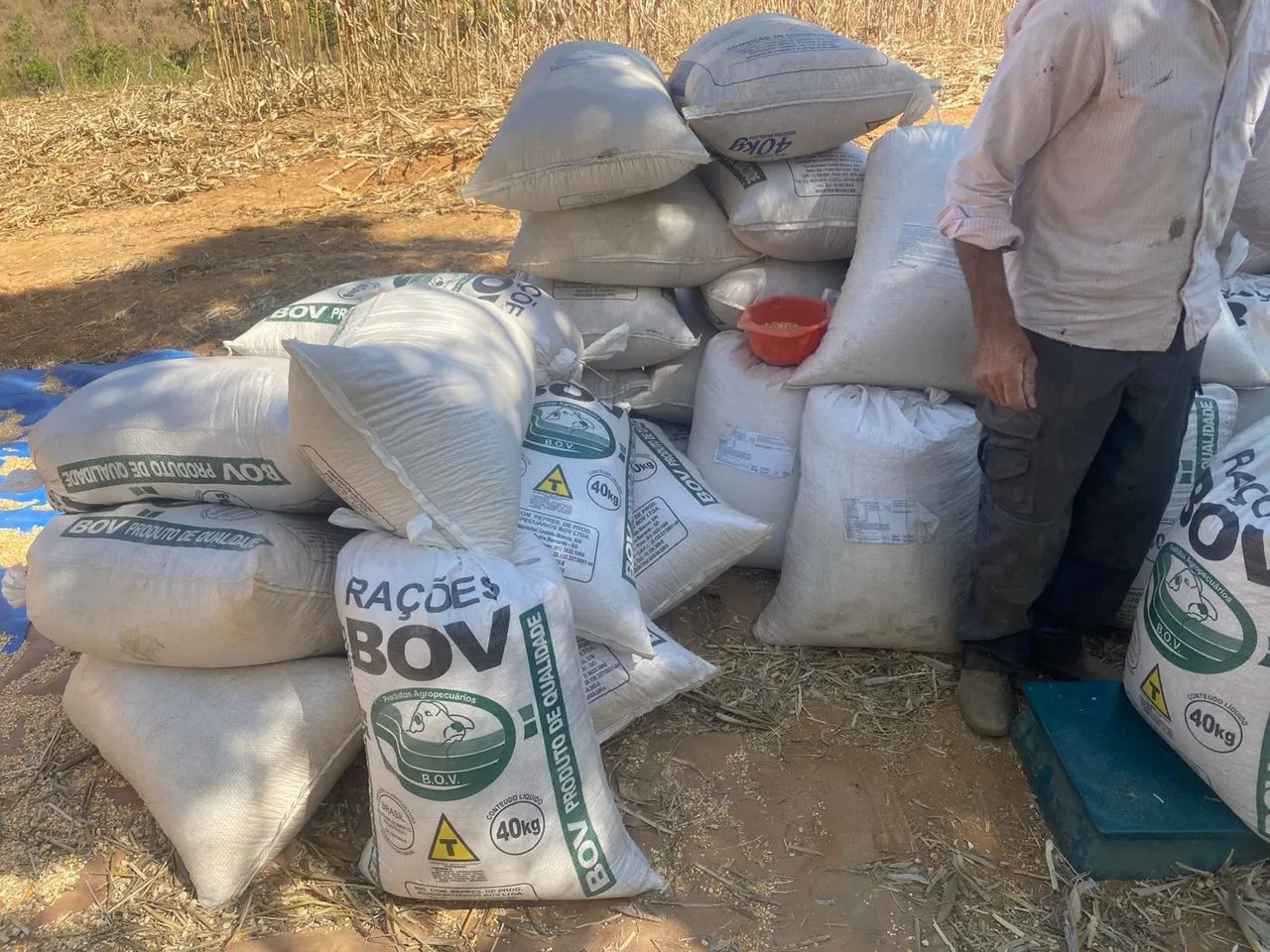 Saca de Milho  - Foto 3