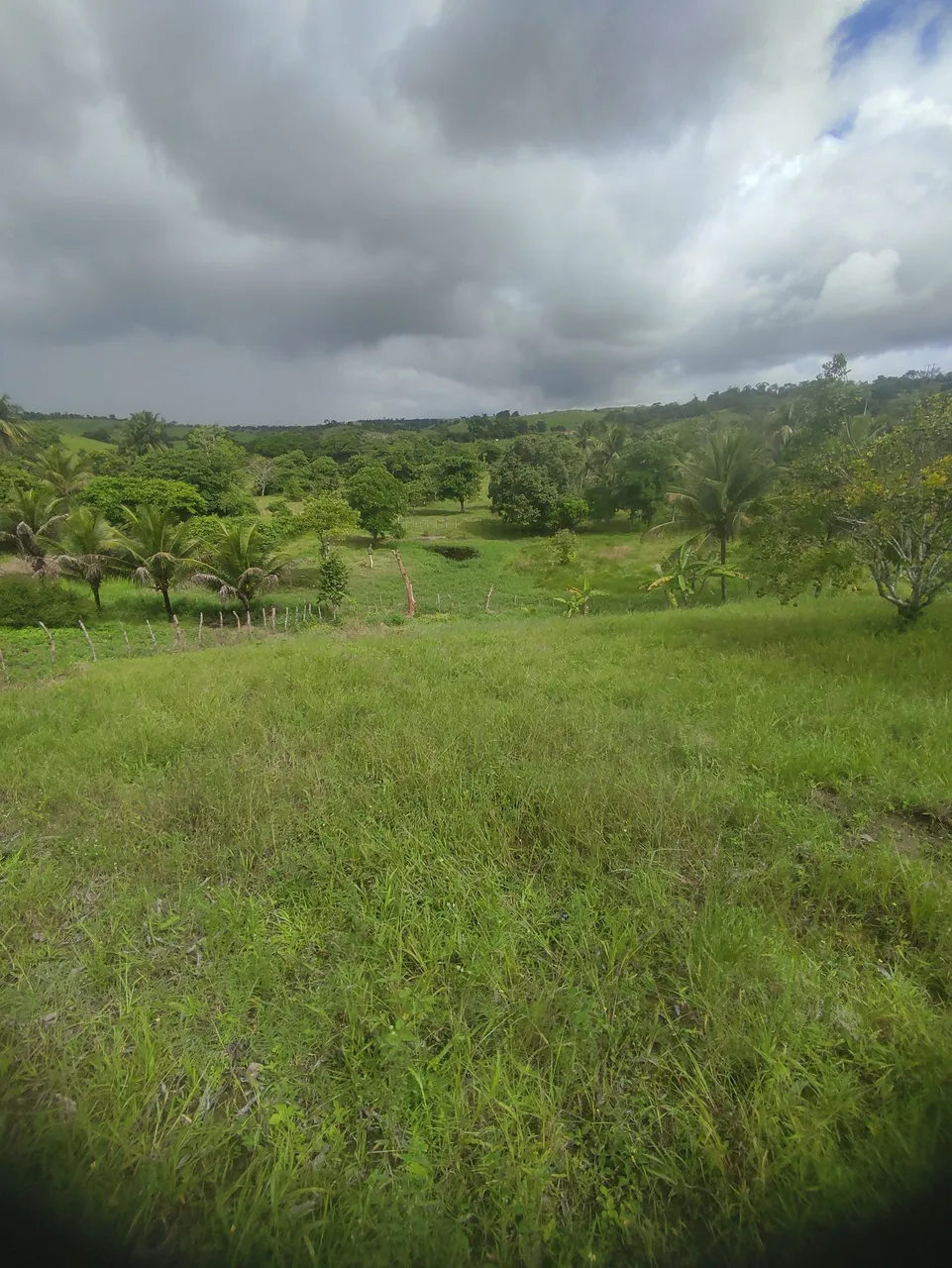 Vende-se 1tarefa de terra! Com água, casa toda na cerâmica pé de frutíferas toda cercada.