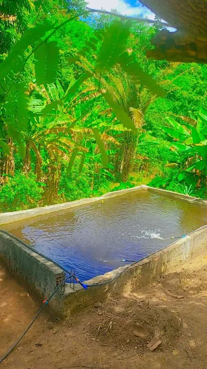 Sitio piscina natural, Nanuque-MG-troco-3 casas simples, 6 minutos do centro,tudo