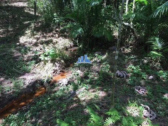Terreno no Ratones com viabilidade Condomínio - Foto 4