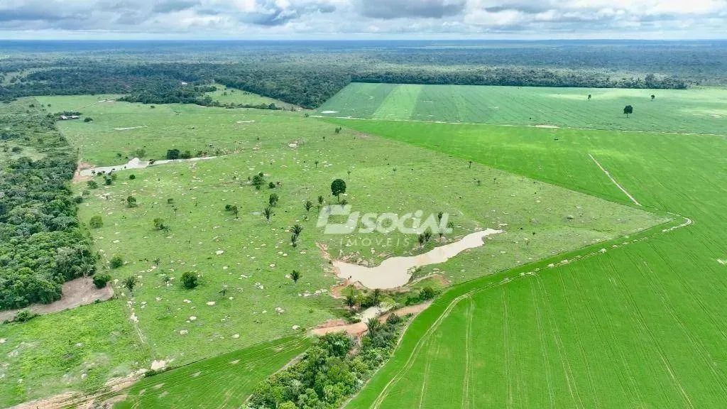 Fazenda à venda localizada a 36Km de Porto Velho - Foto 2