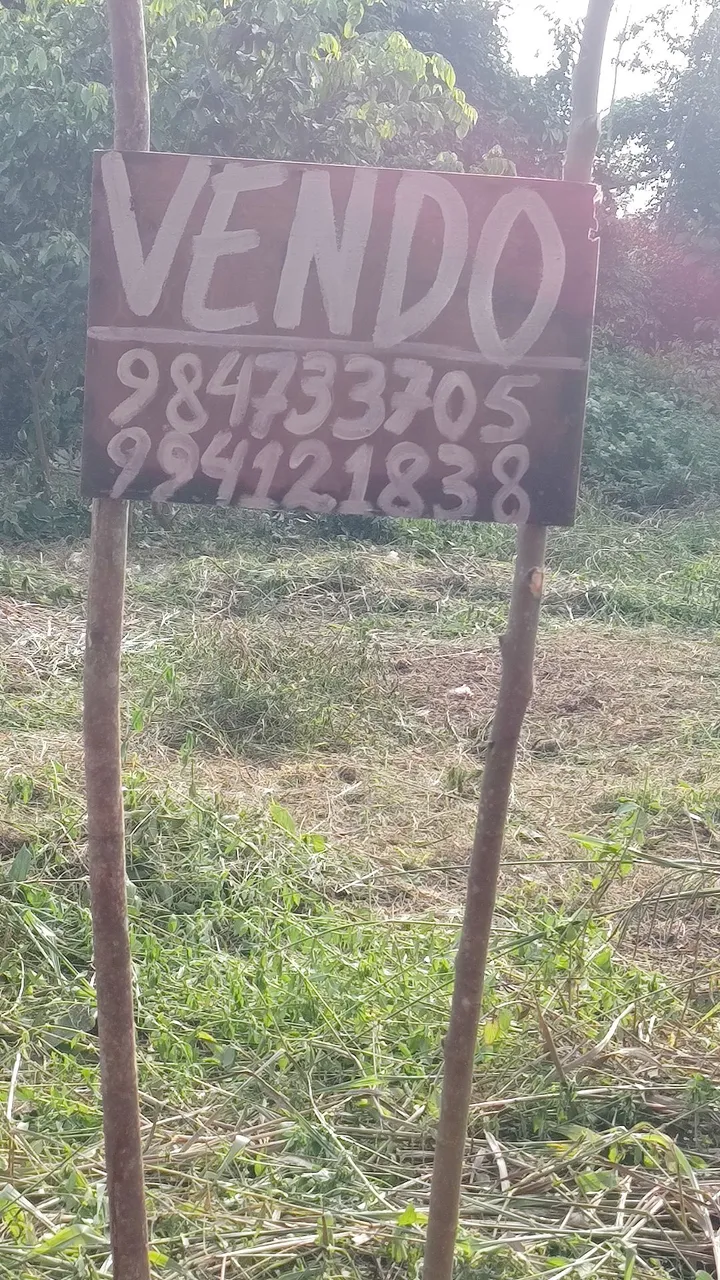 Vendo este lote