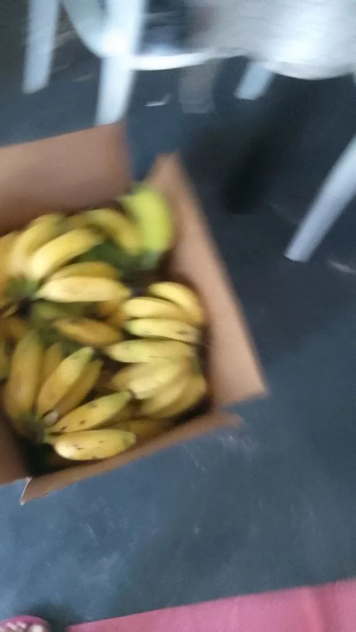 Bananas frescas para venda
