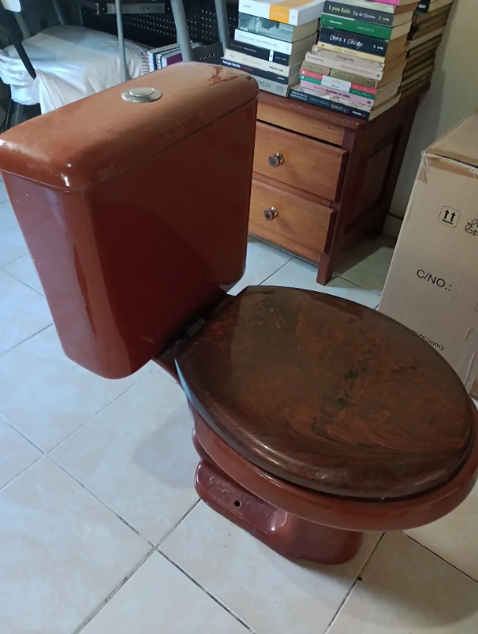 Vaso sanitário marrom com caixa acoplada Logasa
