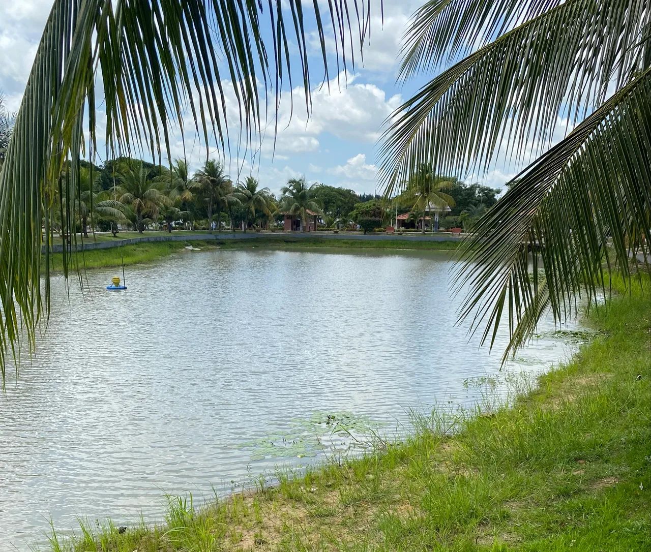 Lote no Greenville- oportunidade 