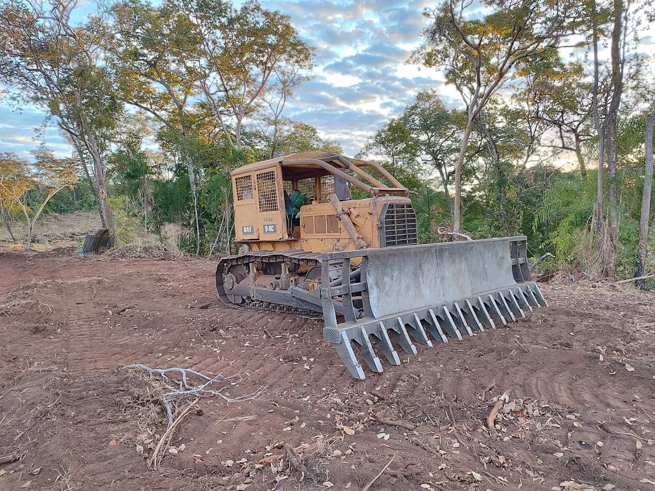 Trator de Esteira CAT D6C