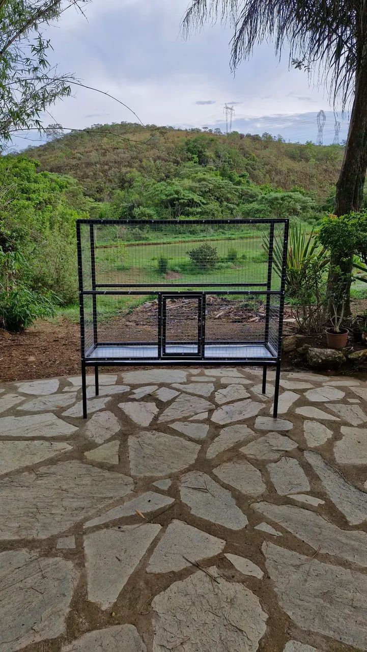 Viveiro Ideal para Calopsitas, Ring Neck e Pássaros de Médio e Pequeno Porte! - Foto 2