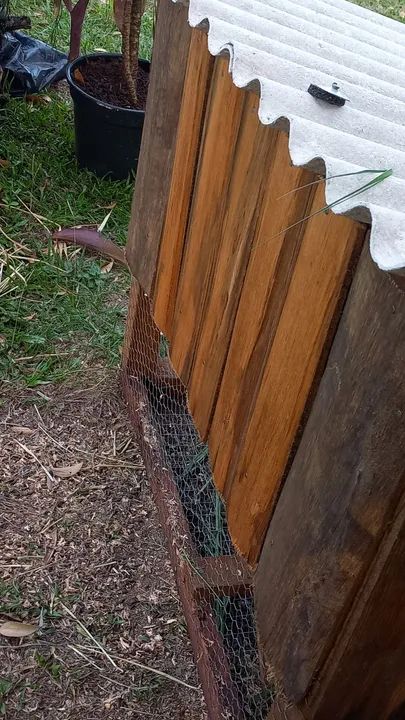 Gaiola  em madeira - Foto 2