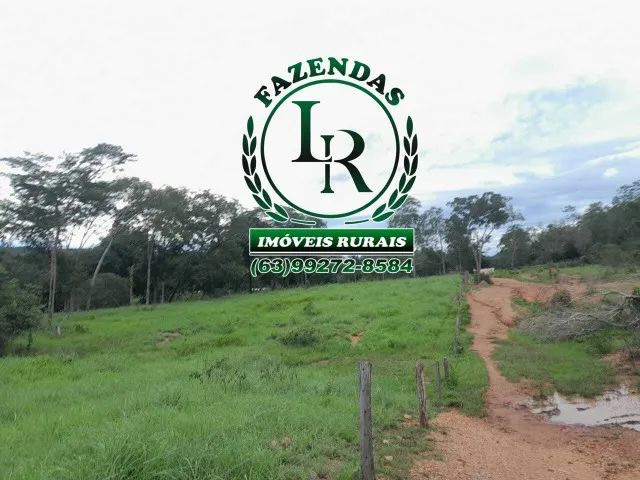 Fazenda 168 Alqueires Dupla Aptidão - Foto 3