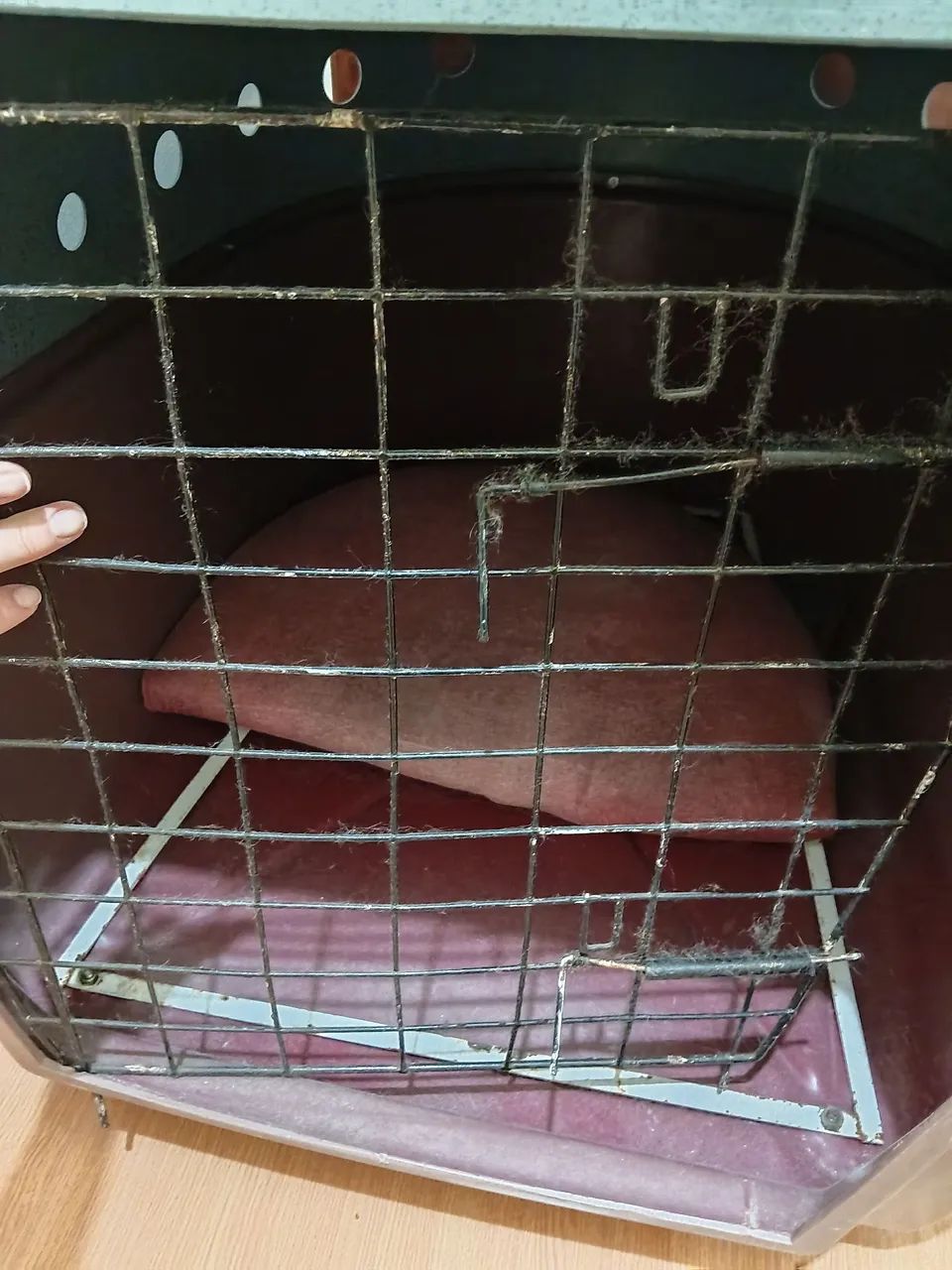 Vendo caixa transporte/ Casa cachorro grande  - Foto 2