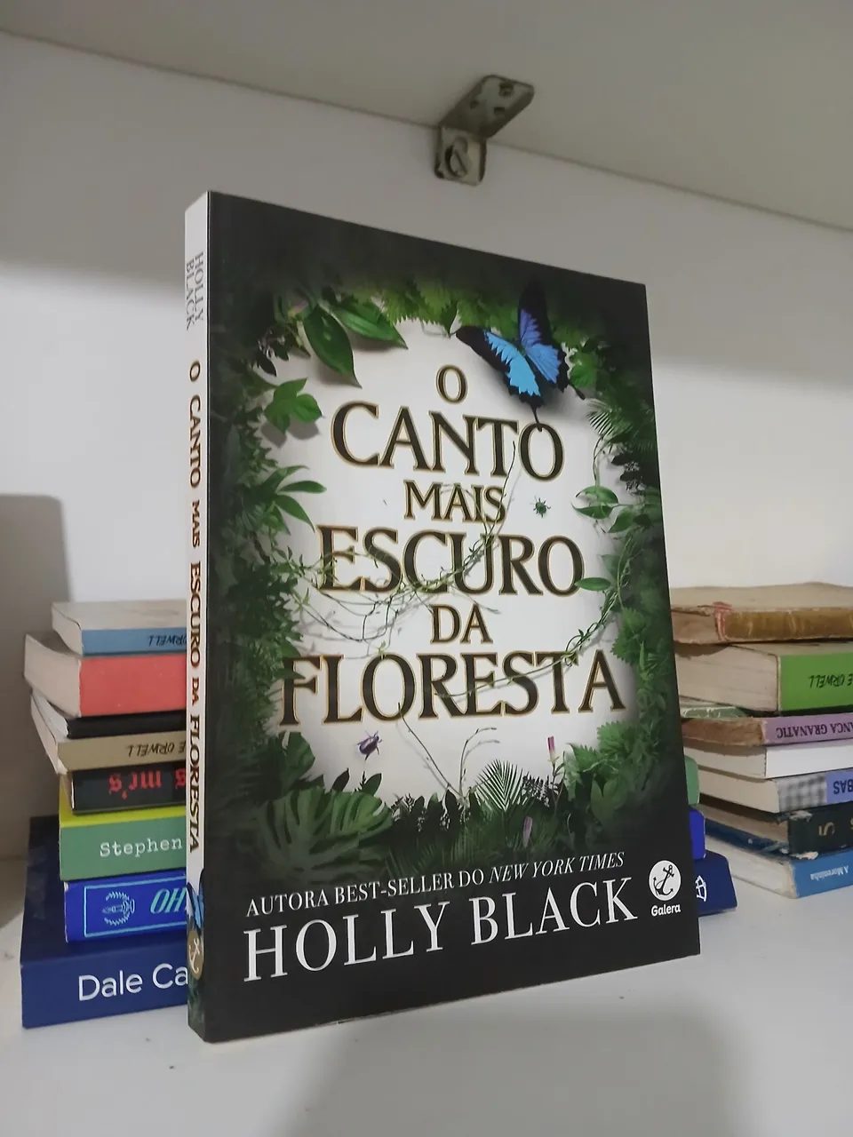 O Canto Mais Escuro da Floresta - Holly Black