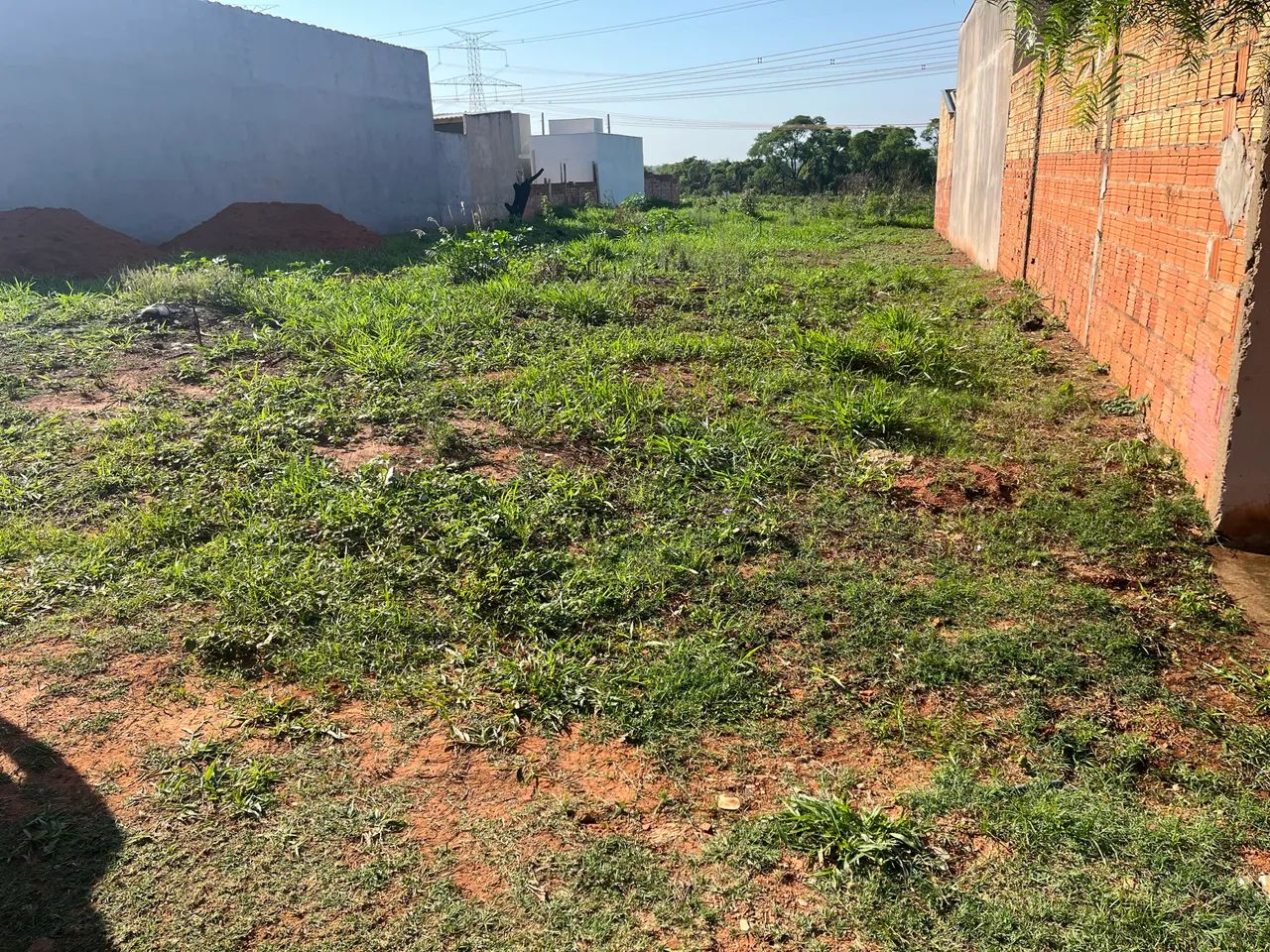 Foto - Bauru - Parque Giansante