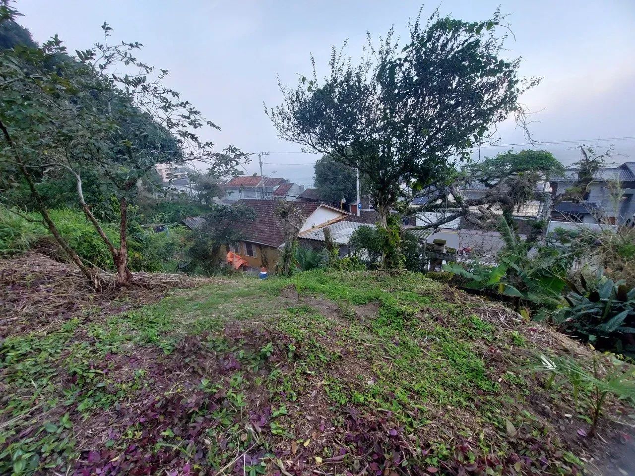 Terreno em Sambaqui - Foto 3