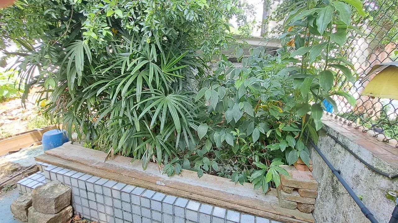 Terreno à venda 200 m2 na Vila Belmiro - Santos - Foto 2