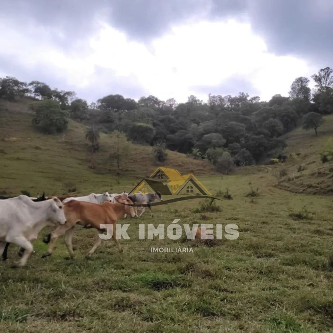 Fazenda de 41 hectares em Mateus leme - Foto 3