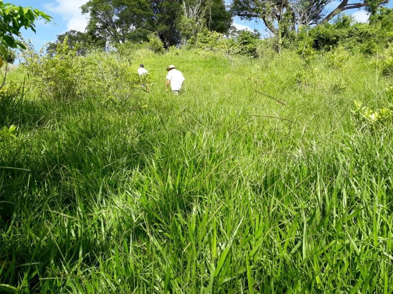 Fazenda 1+ 5 pagamentos  - Foto 3