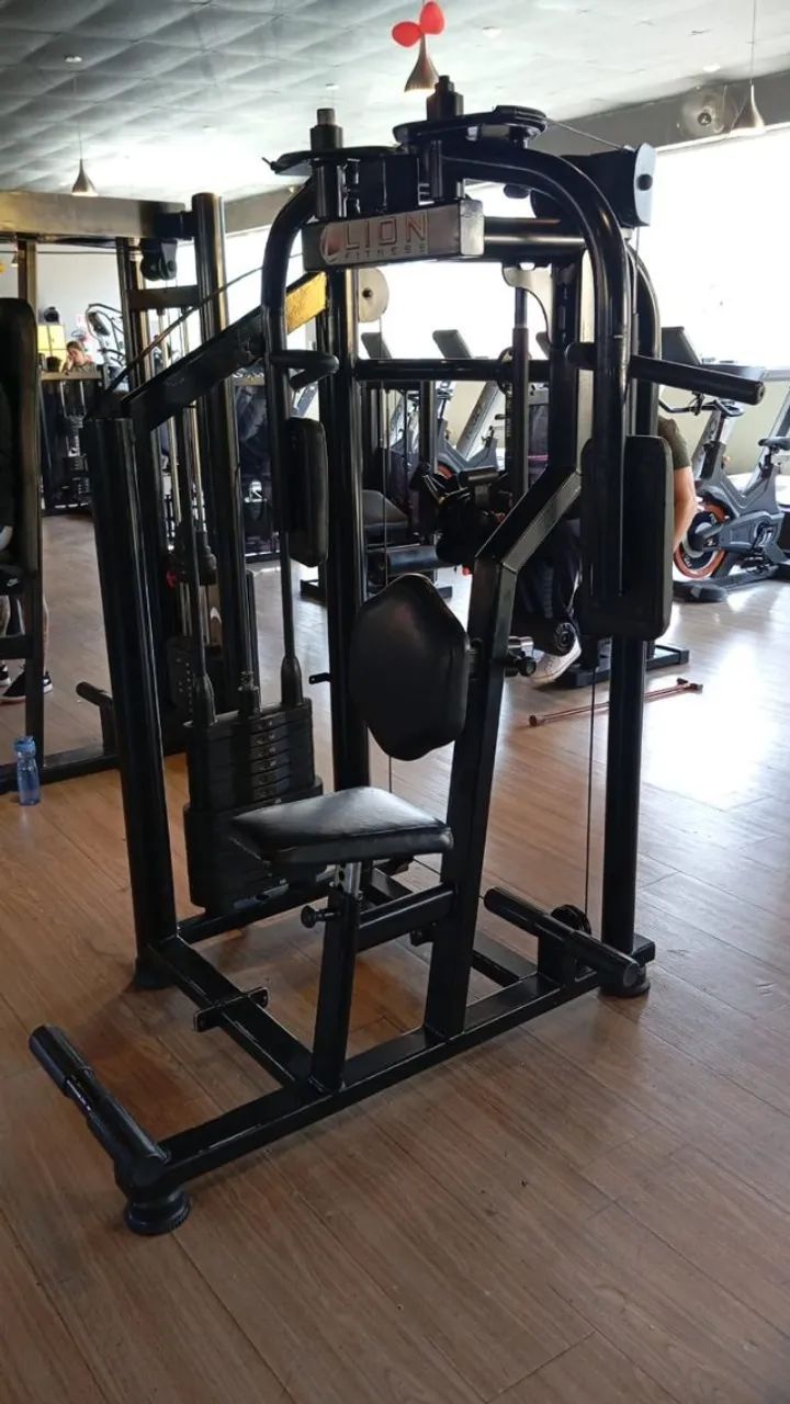 Peck Deck - Lion Fitness