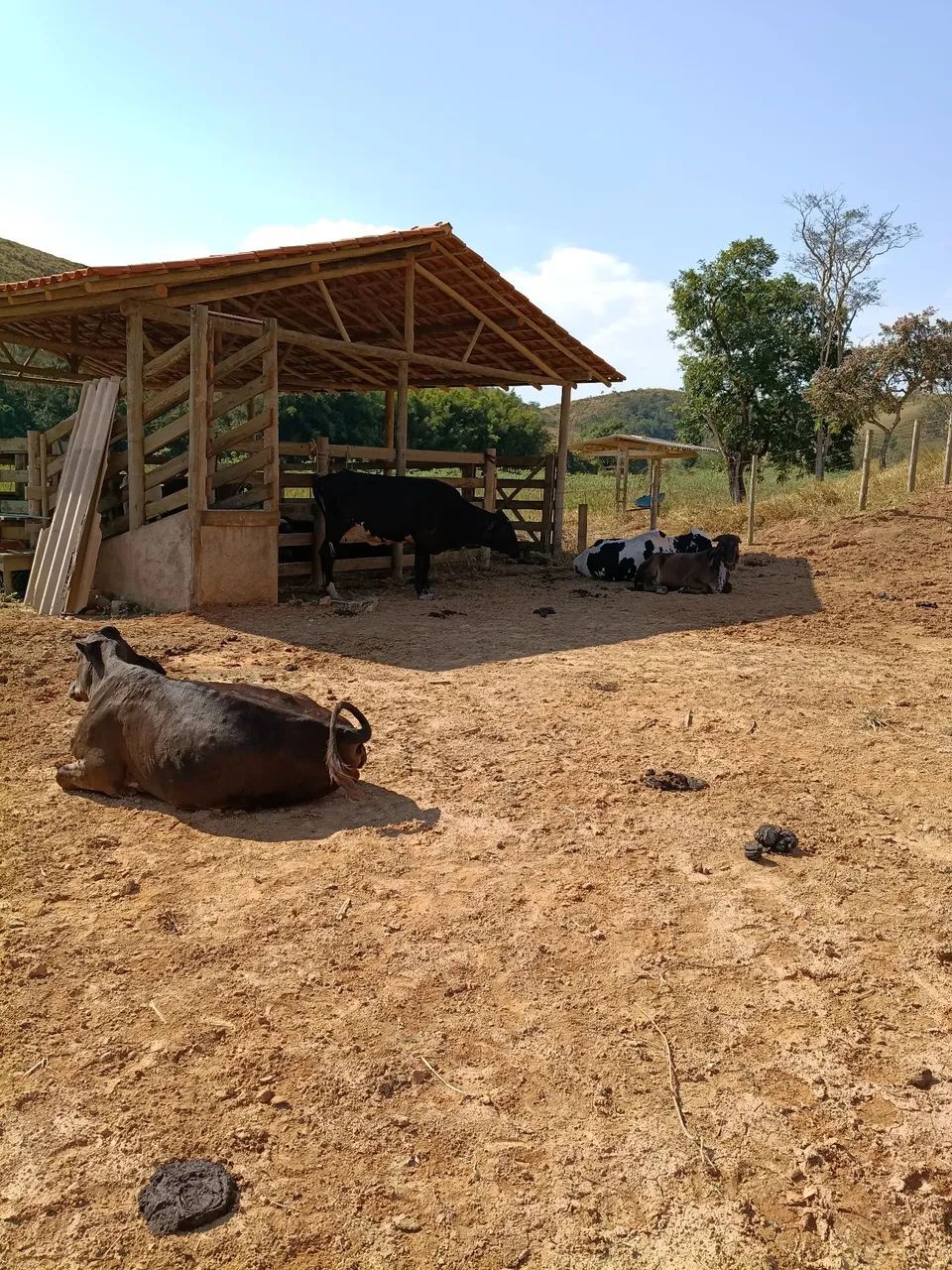 Sítio/fazenda dentro de Ipoema  - Foto 2
