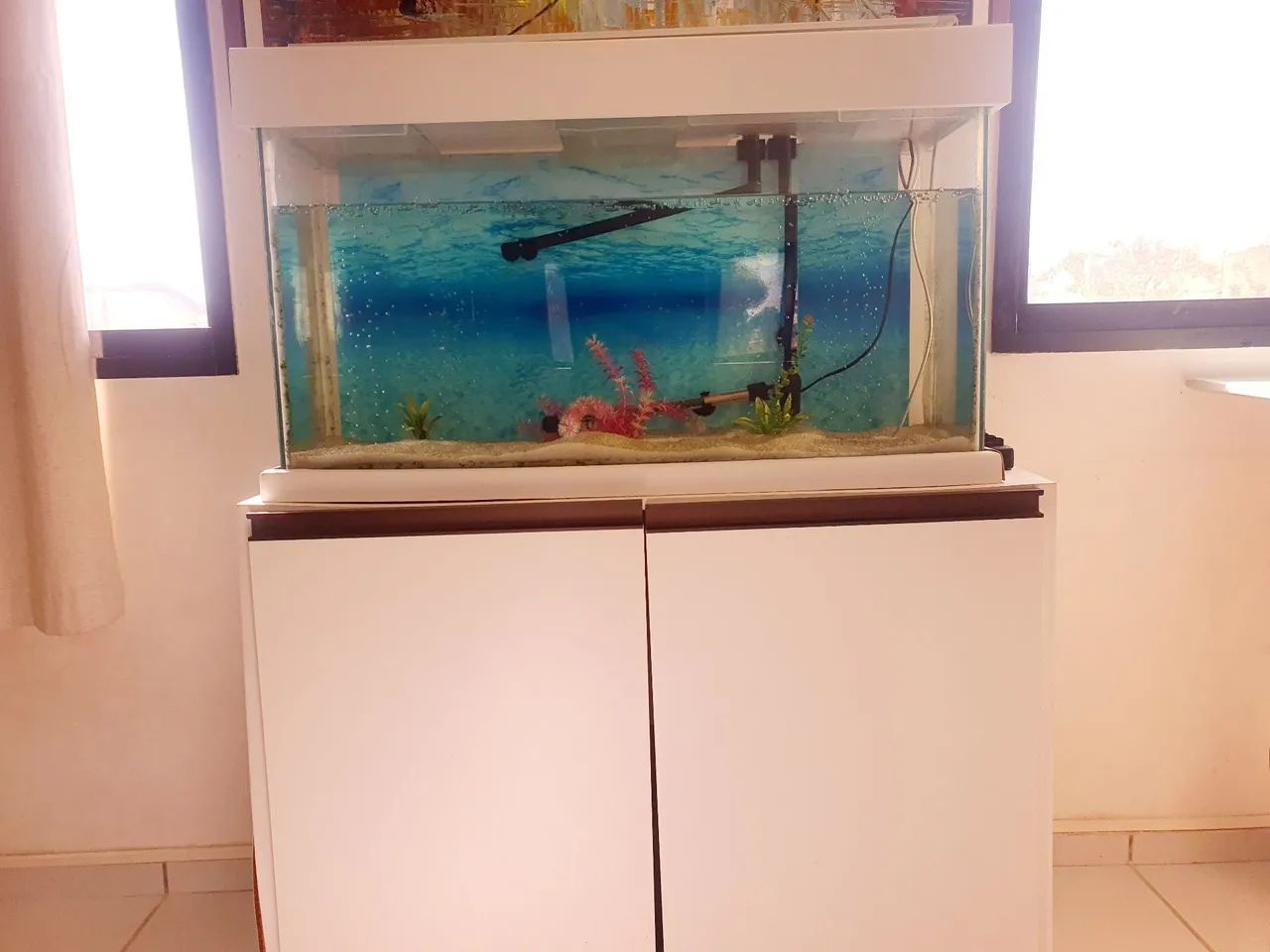 Aquário completo 
