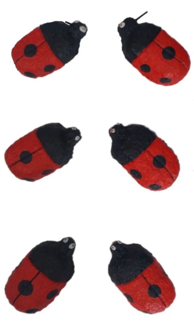 Joaninhas para parede  - Foto 2