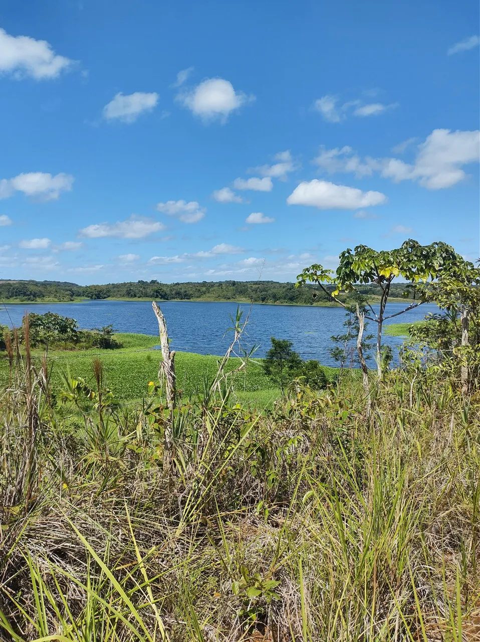 Venda de sitio  - Foto 2