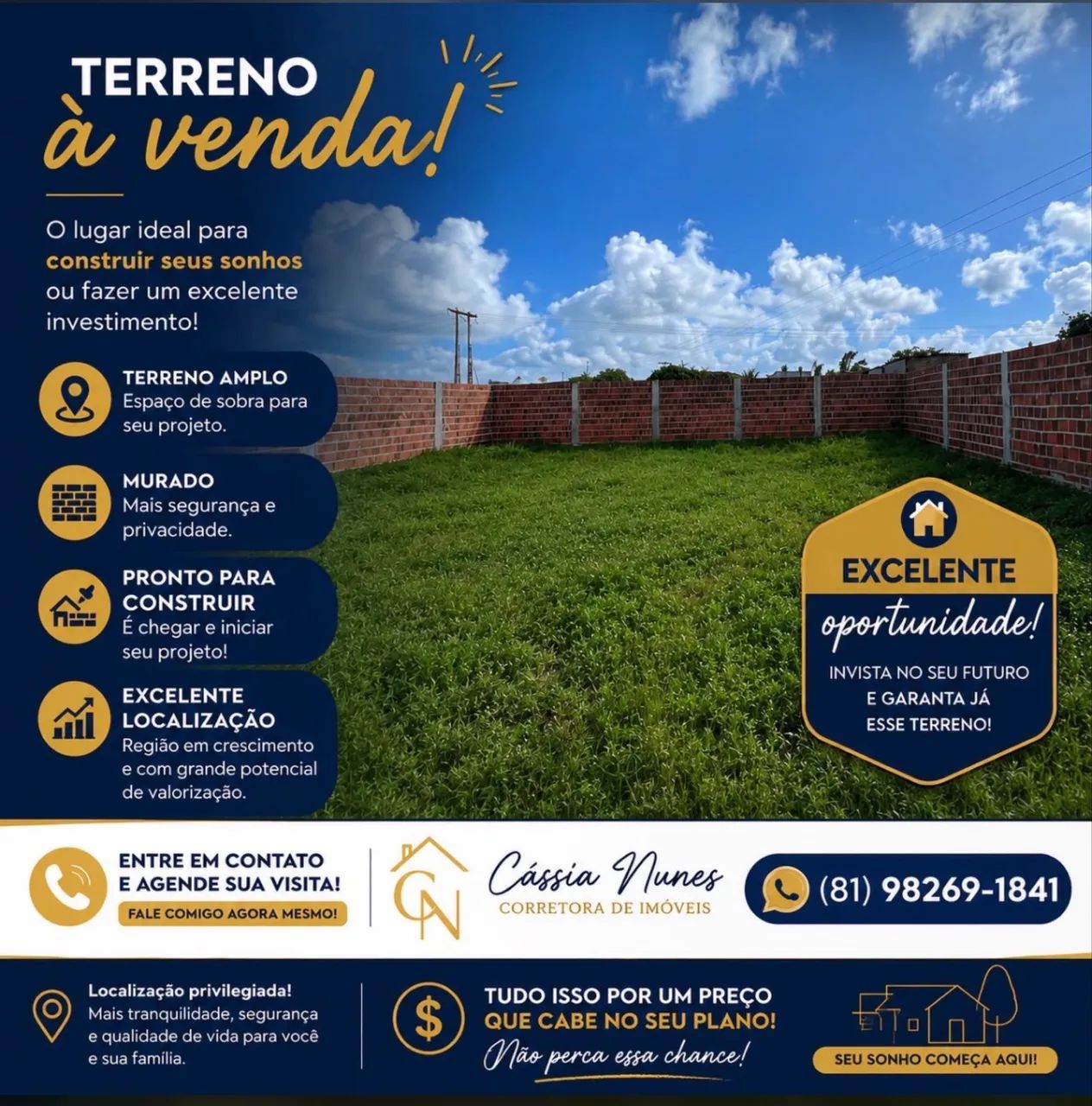Terreno goiana - Foto 2