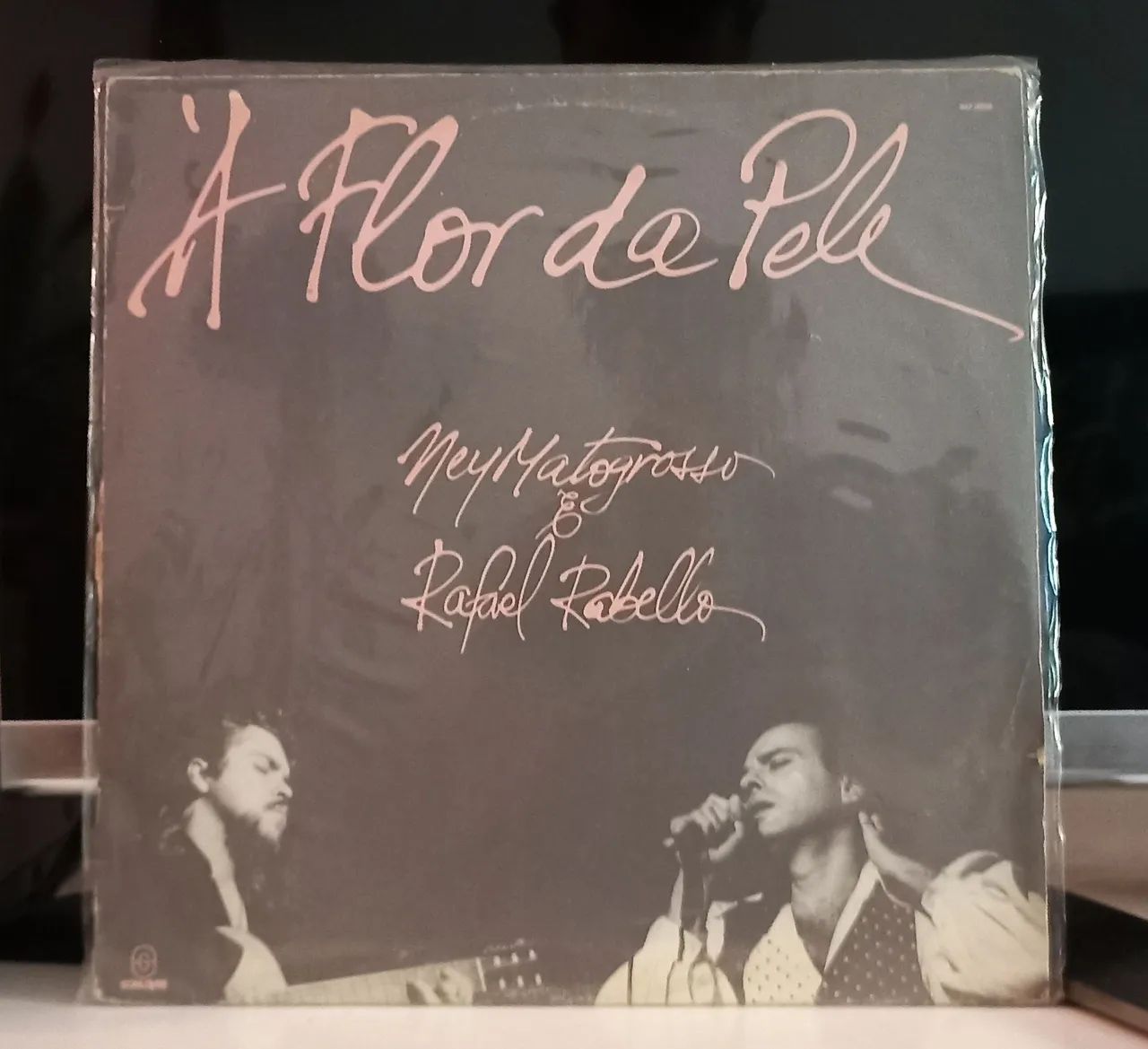 Disco de vinil Ney Matogrosso e Rafael Rabello