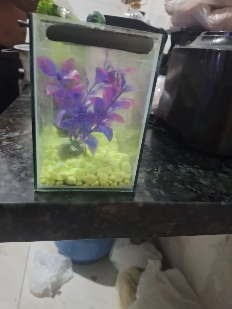 AQUÁRIO  - Foto 2